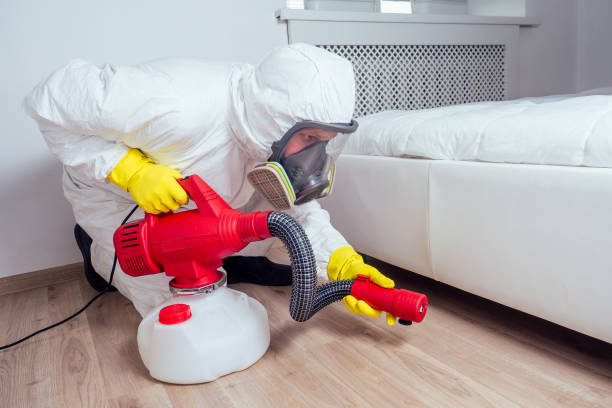 Best Pest Removal Services  in Morgan, UT