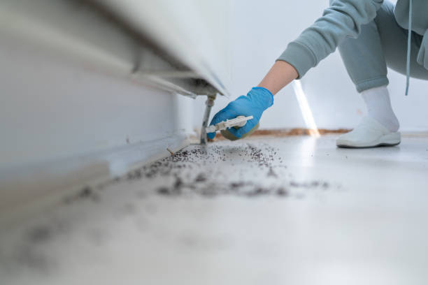 Best Bed Bug Extermination  in Morgan, UT